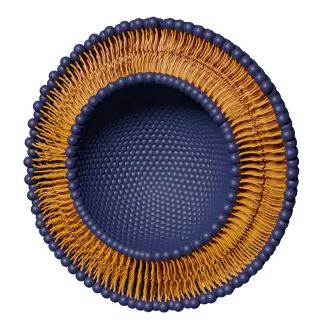 Liposome