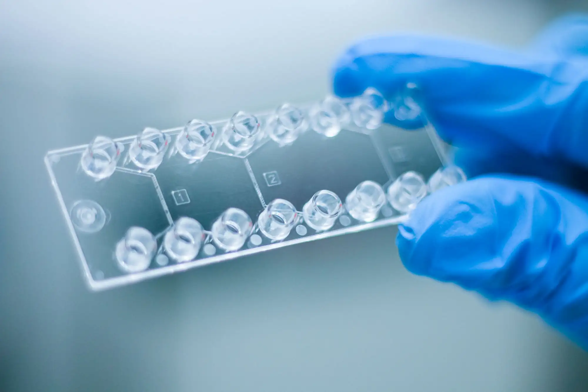 LNP Microfluidic chips