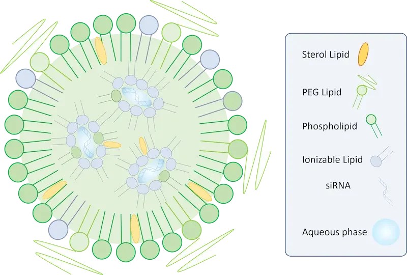 Silencing RNA loaded lipid nanoparticle