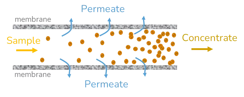 TFF process for nanoparticles purification