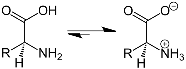Ionizable lipid formula for LNP