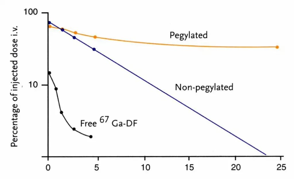Influence of PEG on Liposomes lifespan