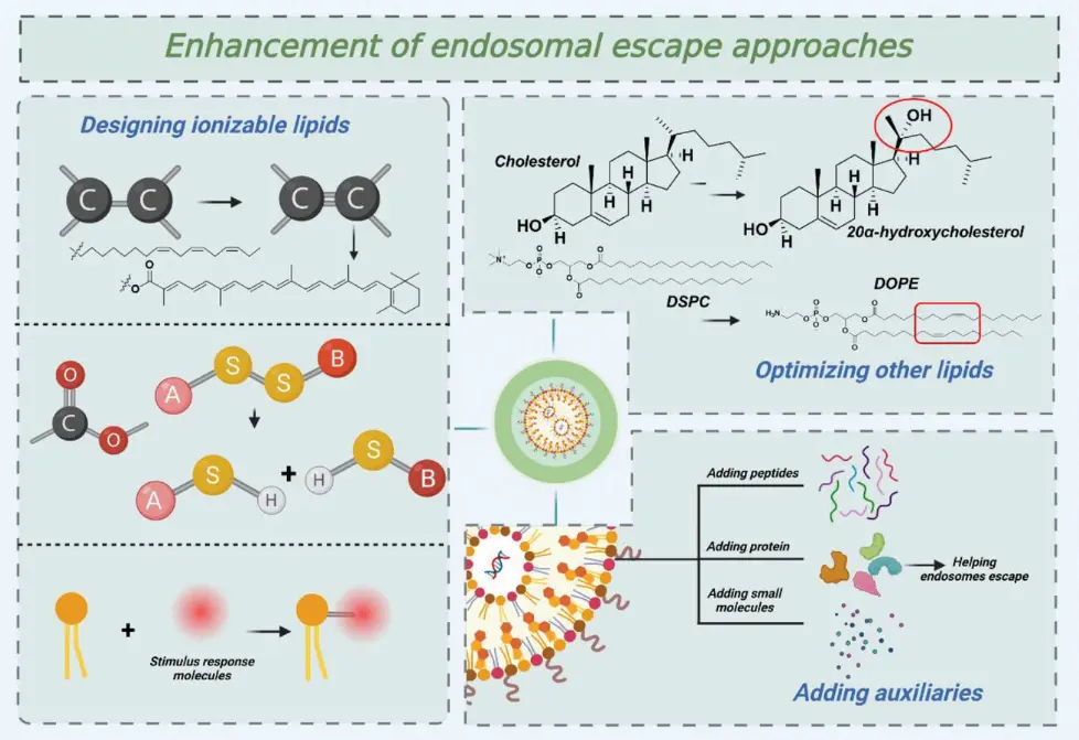 Overview of the strategies to enhance Endosomal Escape