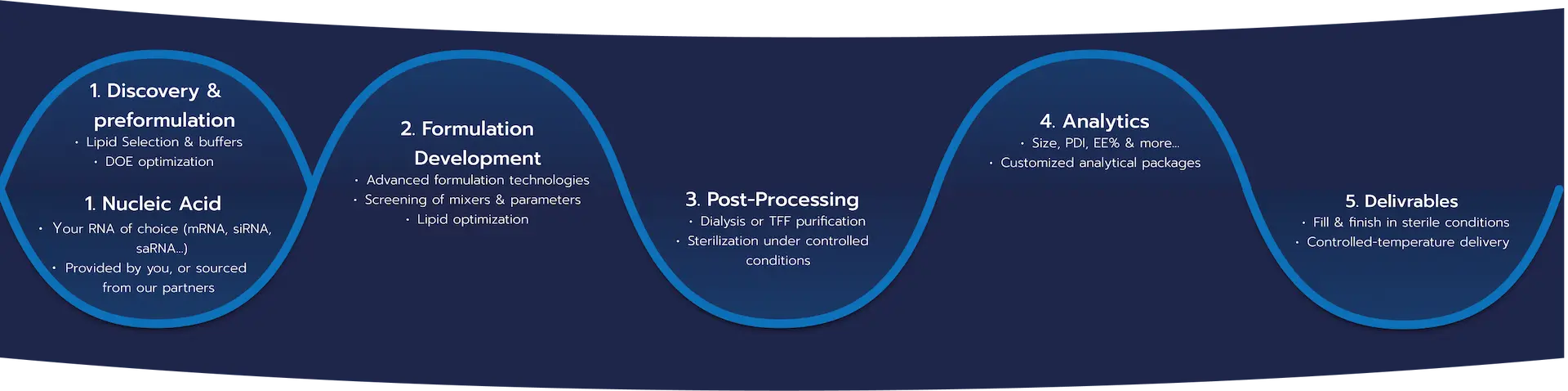 Description of the RNA-LNP CRO Workflow