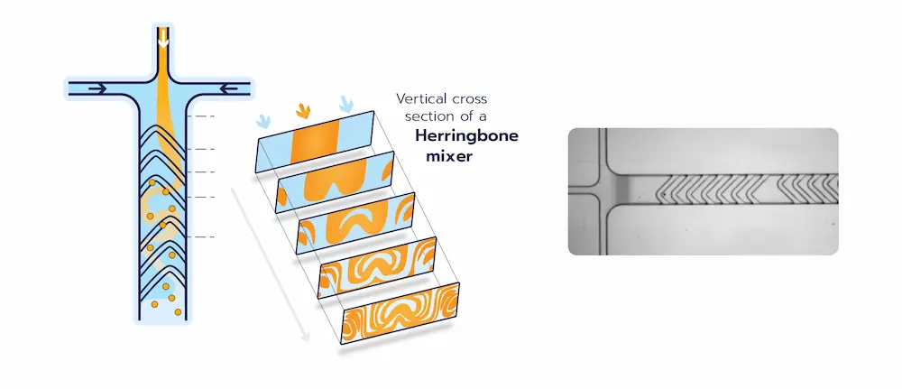 Illustration of a Staggered-Herringbone micromixer mixing mechanism for Lipid nanoparticle synthesis. Both the chips & the working principle