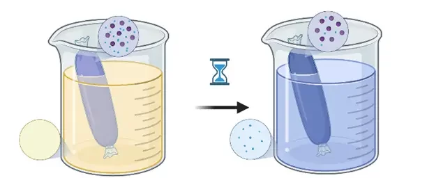 dialysis process