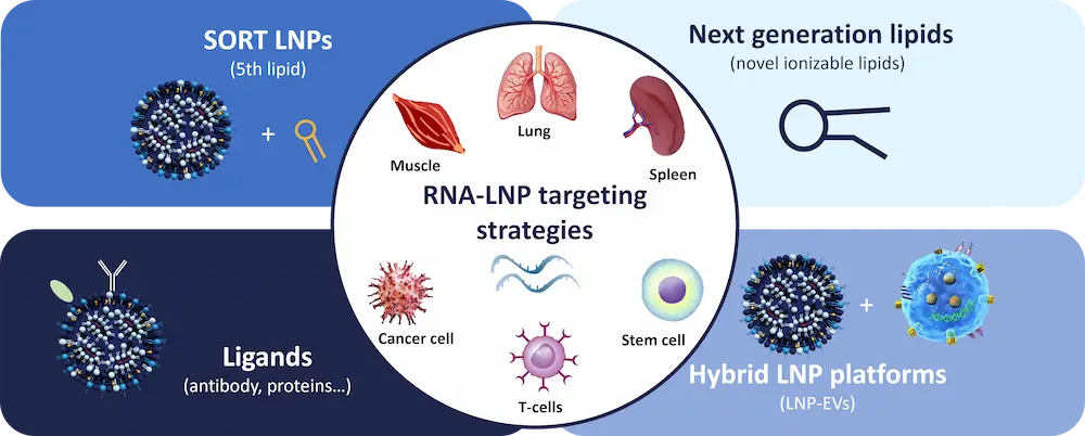 Graphic overview of the LNP targeting strategies including SORT , 5th lipid, ligands, Hybrid LNP platforms
